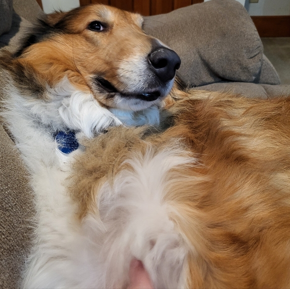 Meet the Posher Other - PLEASEreadBFbuying!